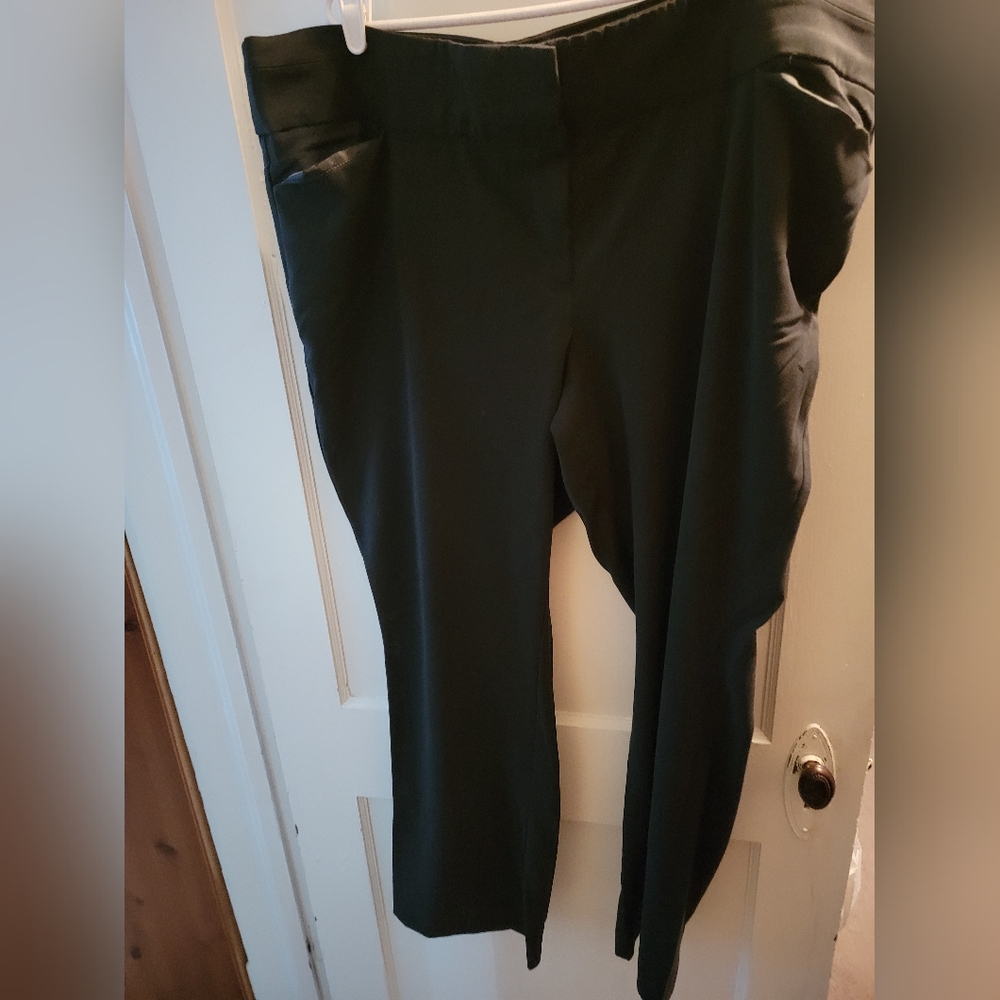 24W long maurices black dress pants.  Missing hook